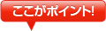 ここがポイント！
